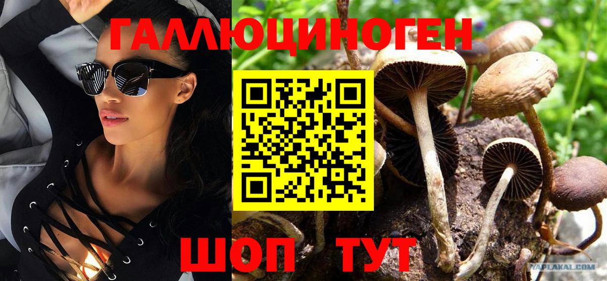 Галлюциногенные грибы Magic Shrooms Щёлково