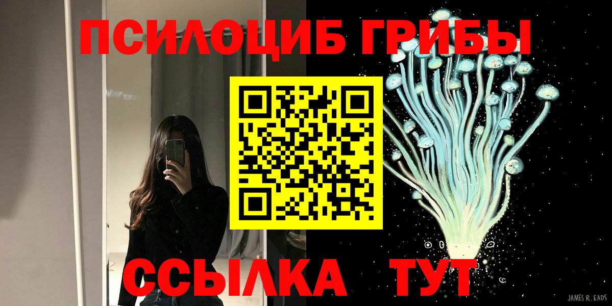 купить наркоту  Вход с VPN  Щёлково  Псилоцибиновые грибы GOLDEN TEACHER 